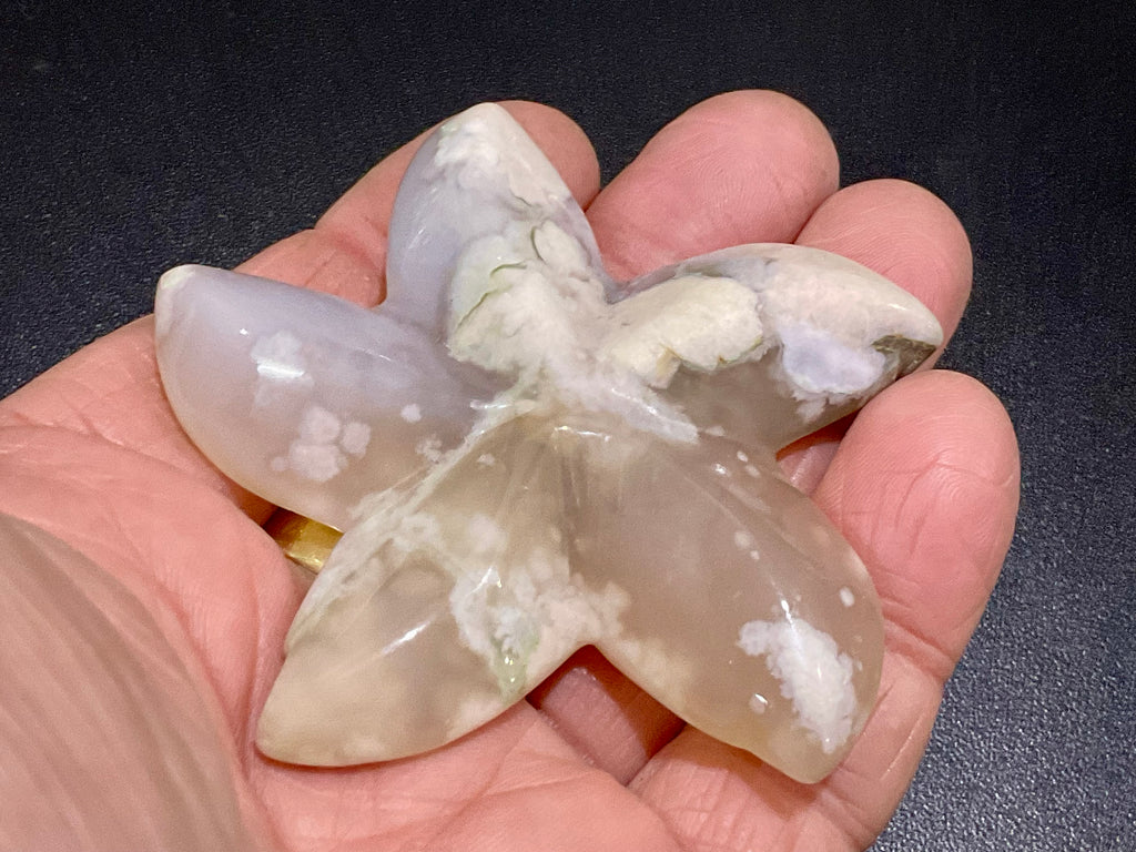 52g Flower Agate Starfish Palmstone 1A
