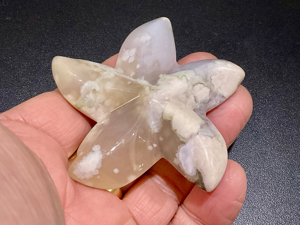 52g Flower Agate Starfish Palmstone 1A