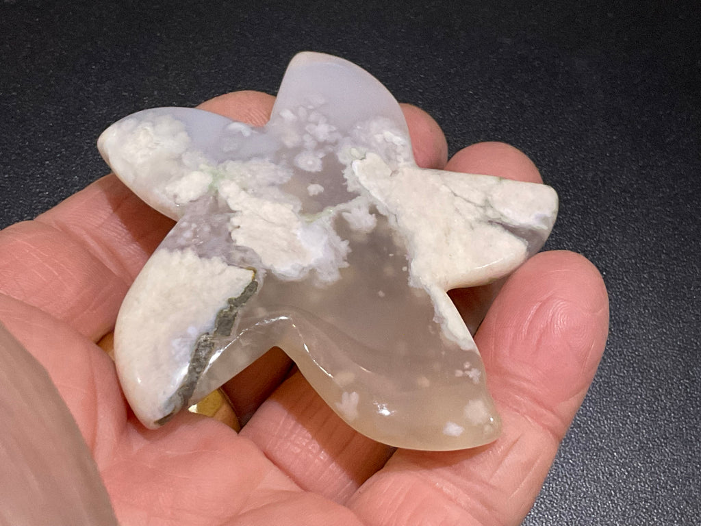 52g Flower Agate Starfish Palmstone 1A