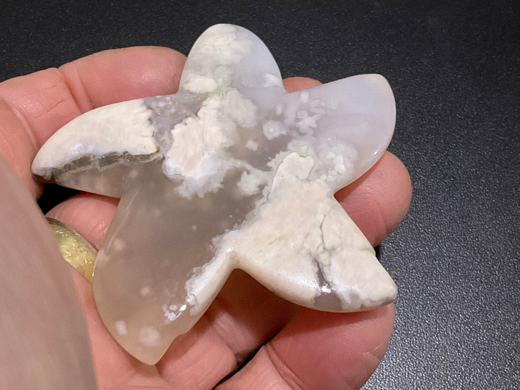 52g Flower Agate Starfish Palmstone 1A