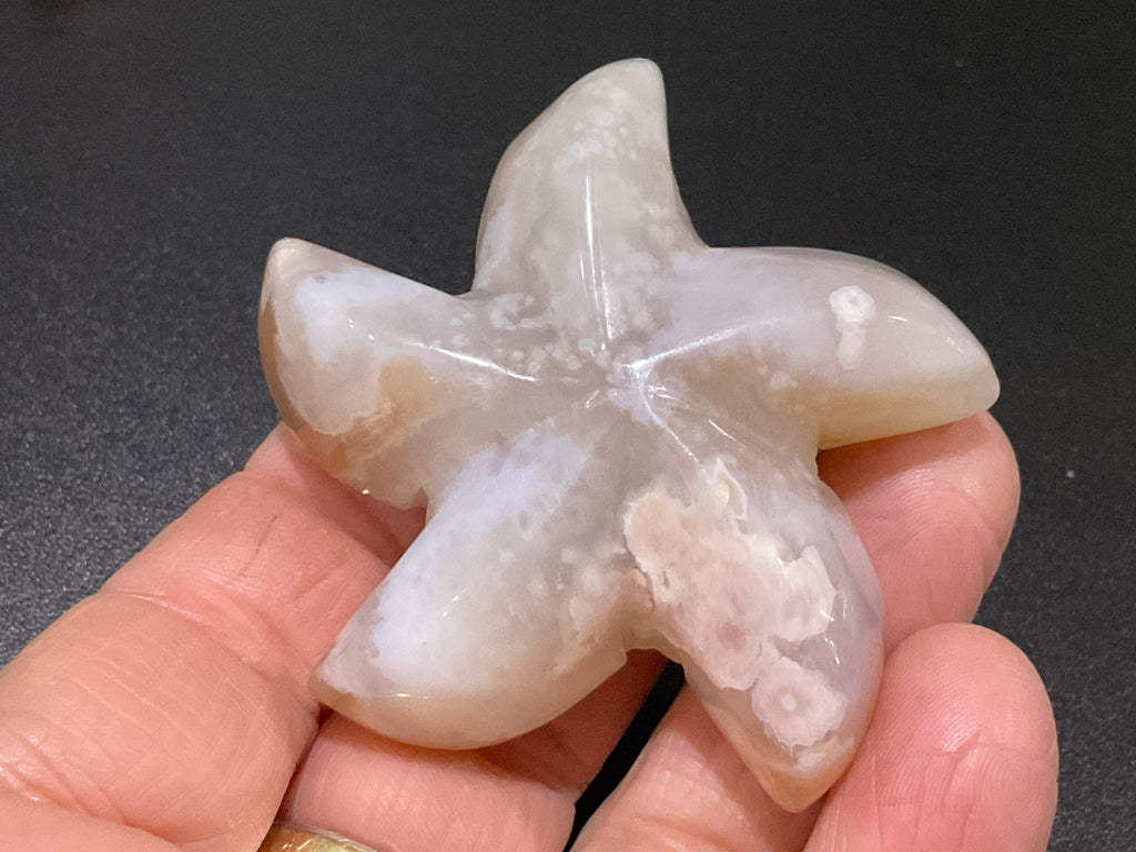 68g Flower Agate Starfish Palmstone 1B