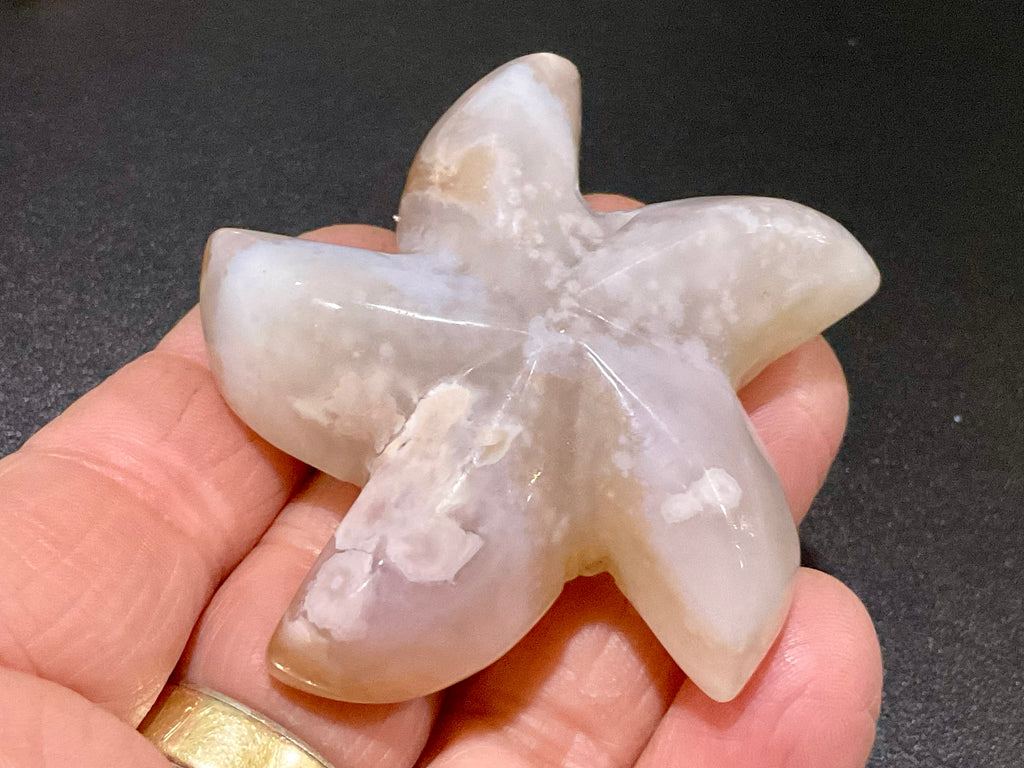 68g Flower Agate Starfish Palmstone 1B