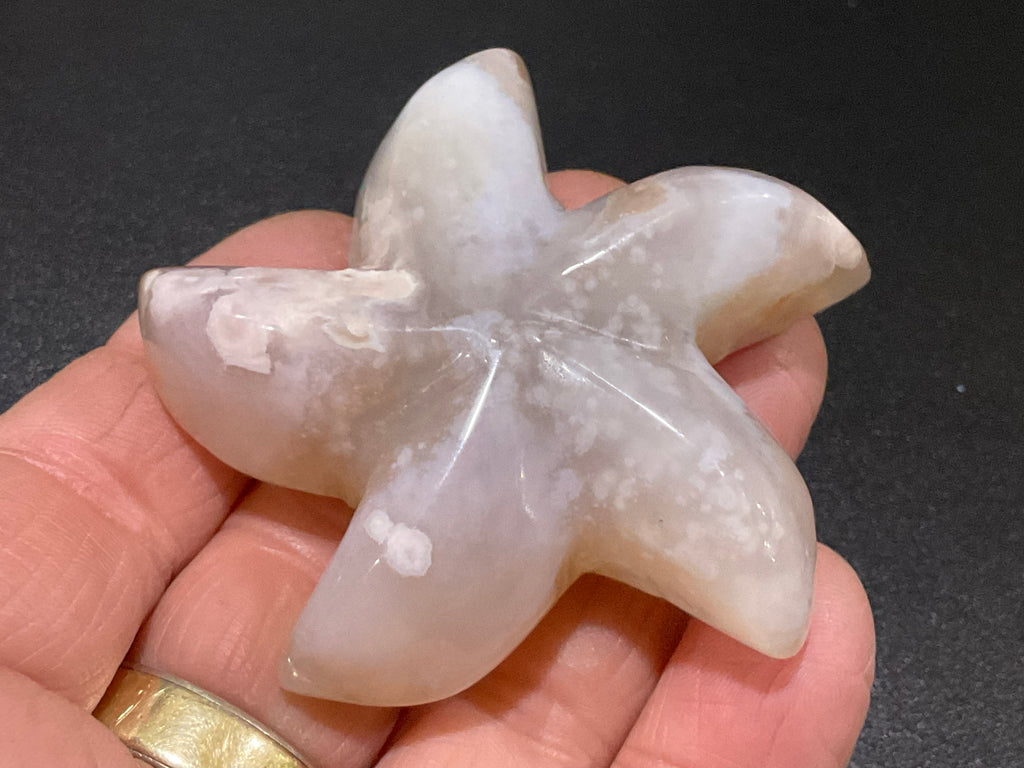 68g Flower Agate Starfish Palmstone 1B
