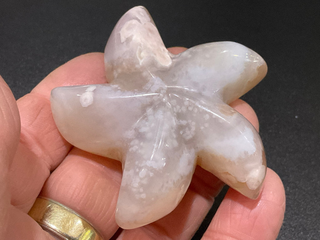 68g Flower Agate Starfish Palmstone 1B