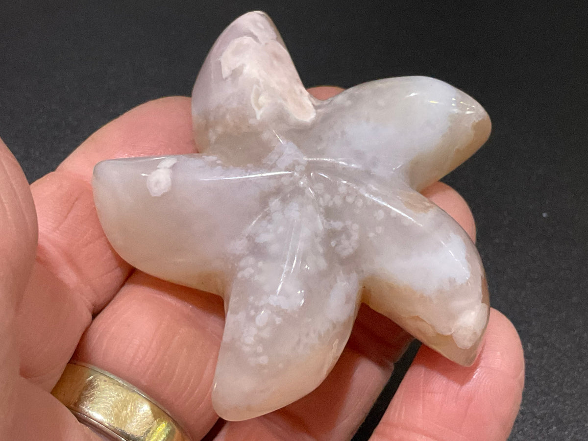 68g Flower Agate Starfish Palmstone 1B