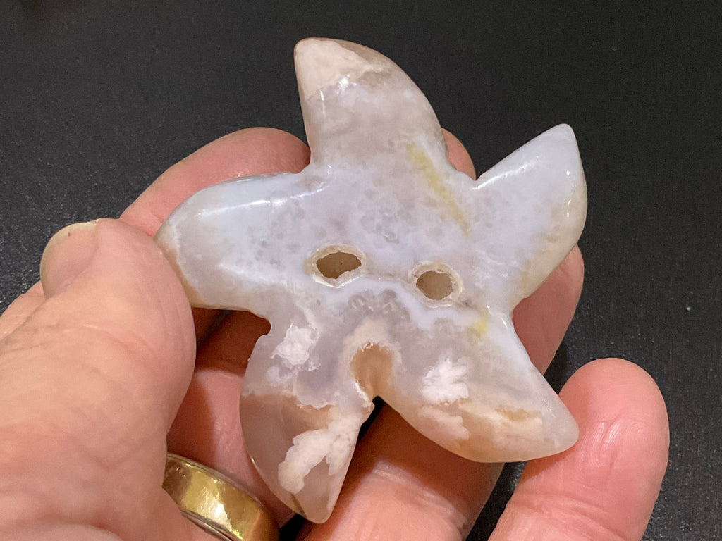 68g Flower Agate Starfish Palmstone 1B