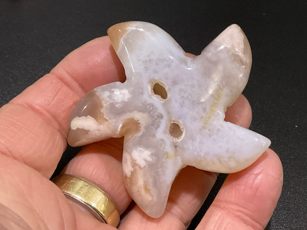 68g Flower Agate Starfish Palmstone 1B
