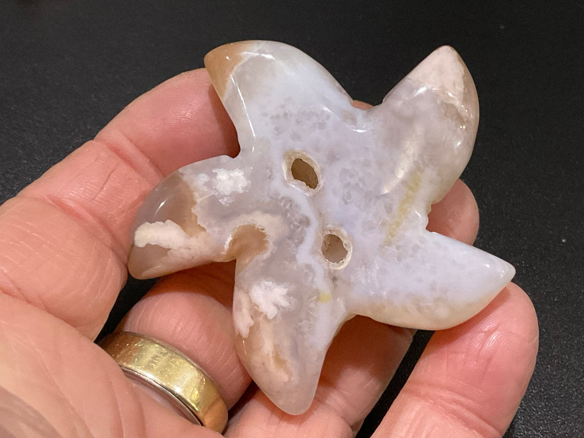 68g Flower Agate Starfish Palmstone 1B