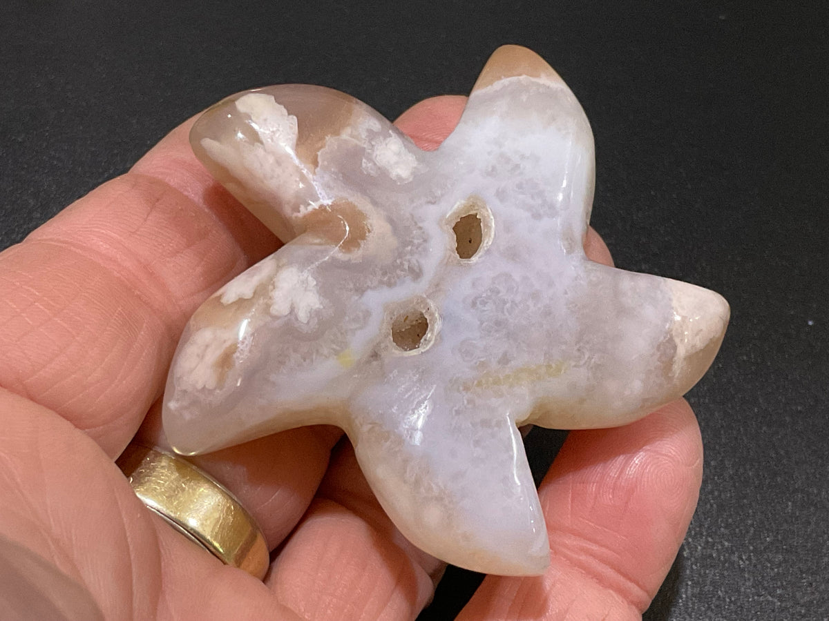 68g Flower Agate Starfish Palmstone 1B
