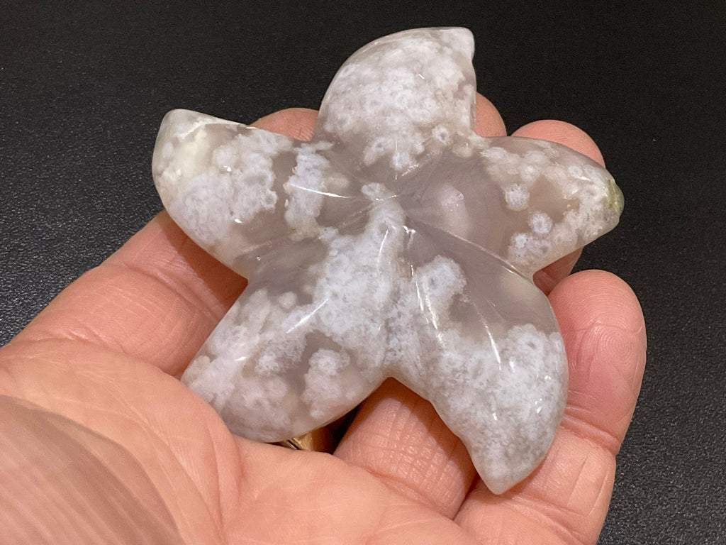 64g Flower Agate Starfish Palmstone 1C
