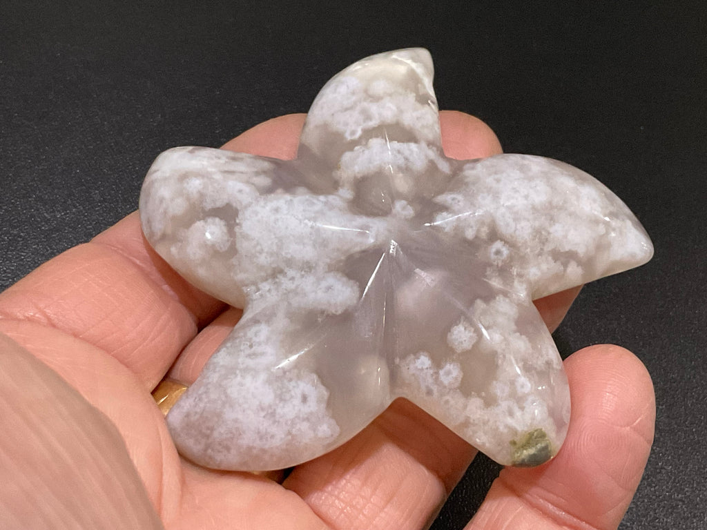 64g Flower Agate Starfish Palmstone 1C