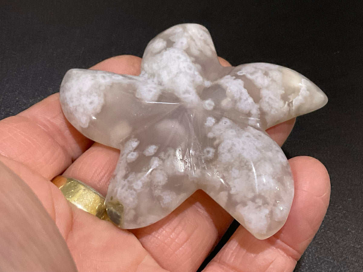 64g Flower Agate Starfish Palmstone 1C