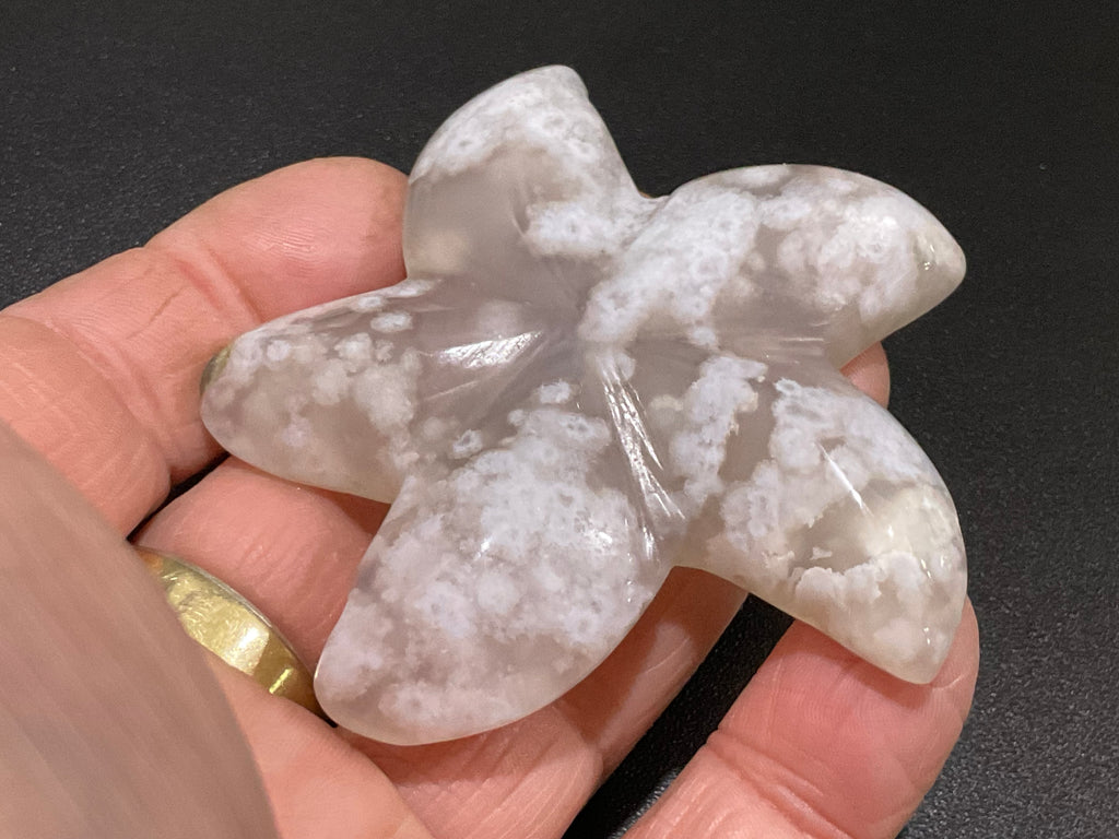 64g Flower Agate Starfish Palmstone 1C