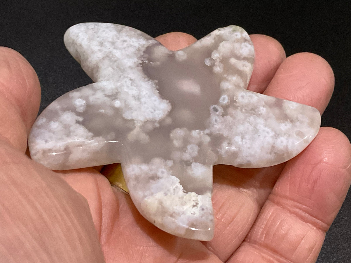 64g Flower Agate Starfish Palmstone 1C