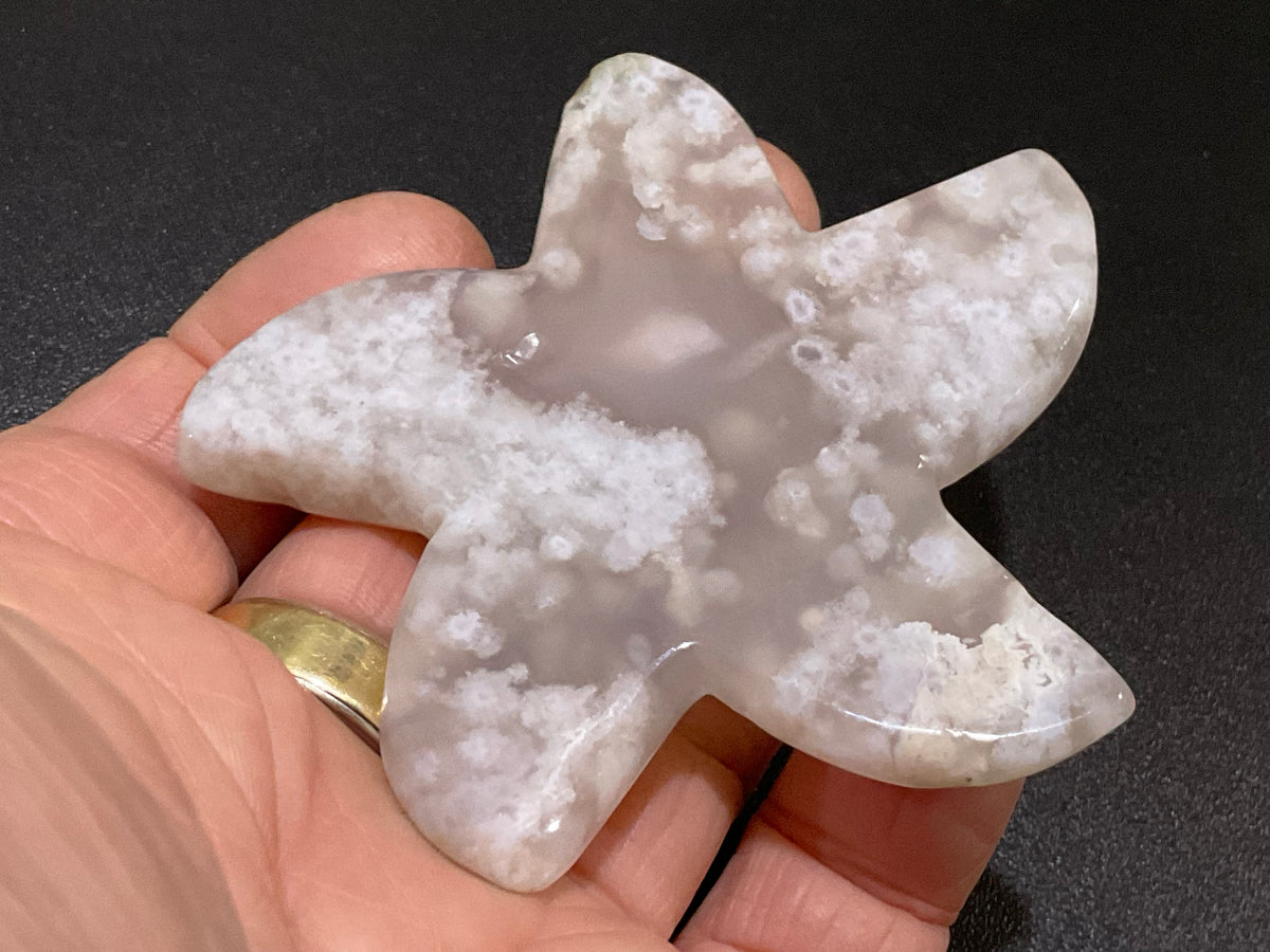 64g Flower Agate Starfish Palmstone 1C