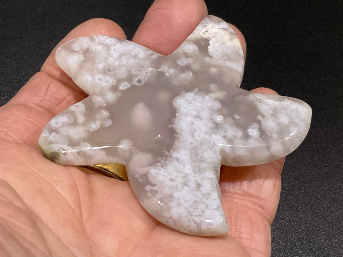 64g Flower Agate Starfish Palmstone 1C