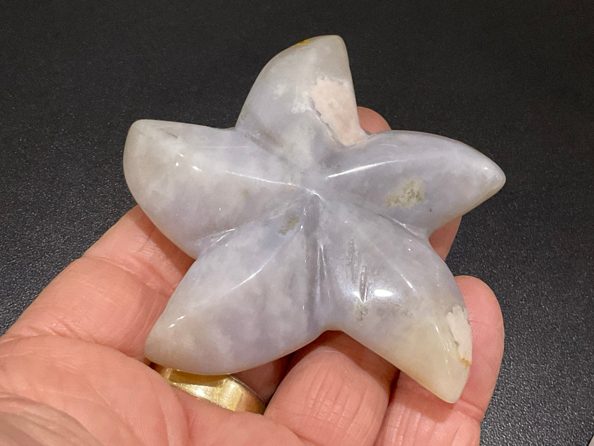 76g Flower Agate Starfish Palmstone 2A