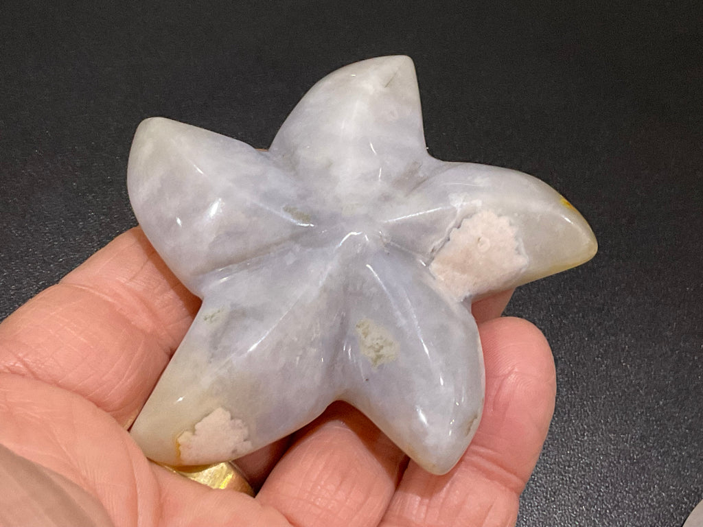 76g Flower Agate Starfish Palmstone 2A