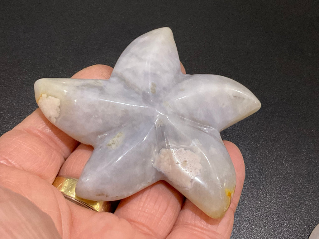 76g Flower Agate Starfish Palmstone 2A