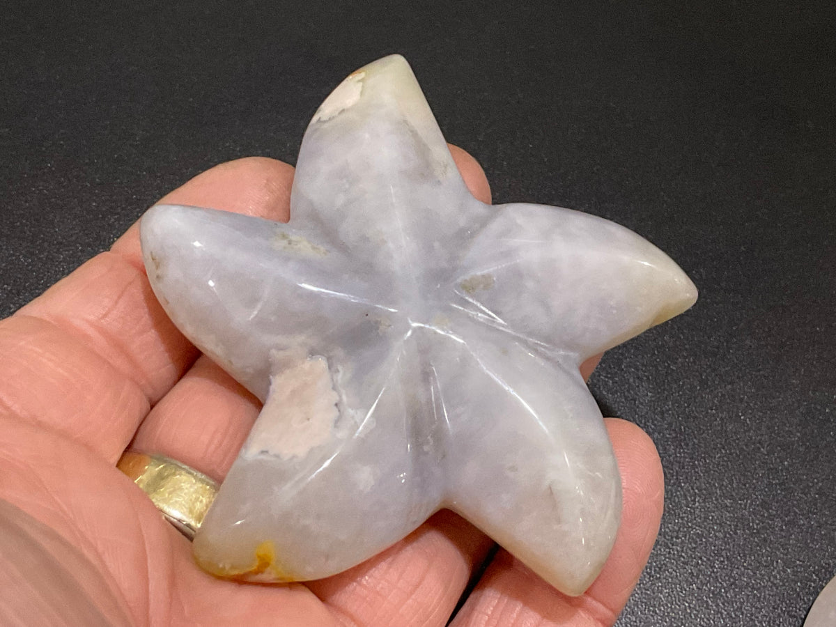 76g Flower Agate Starfish Palmstone 2A