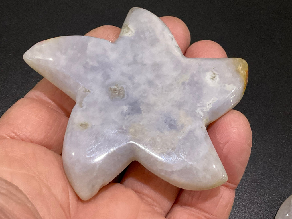76g Flower Agate Starfish Palmstone 2A