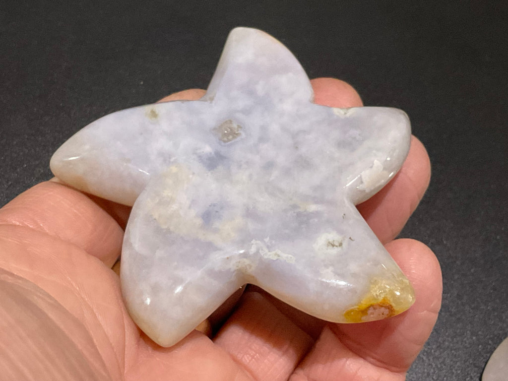 76g Flower Agate Starfish Palmstone 2A