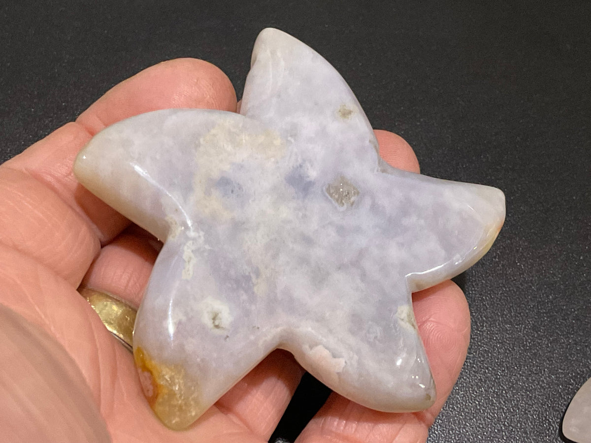 76g Flower Agate Starfish Palmstone 2A