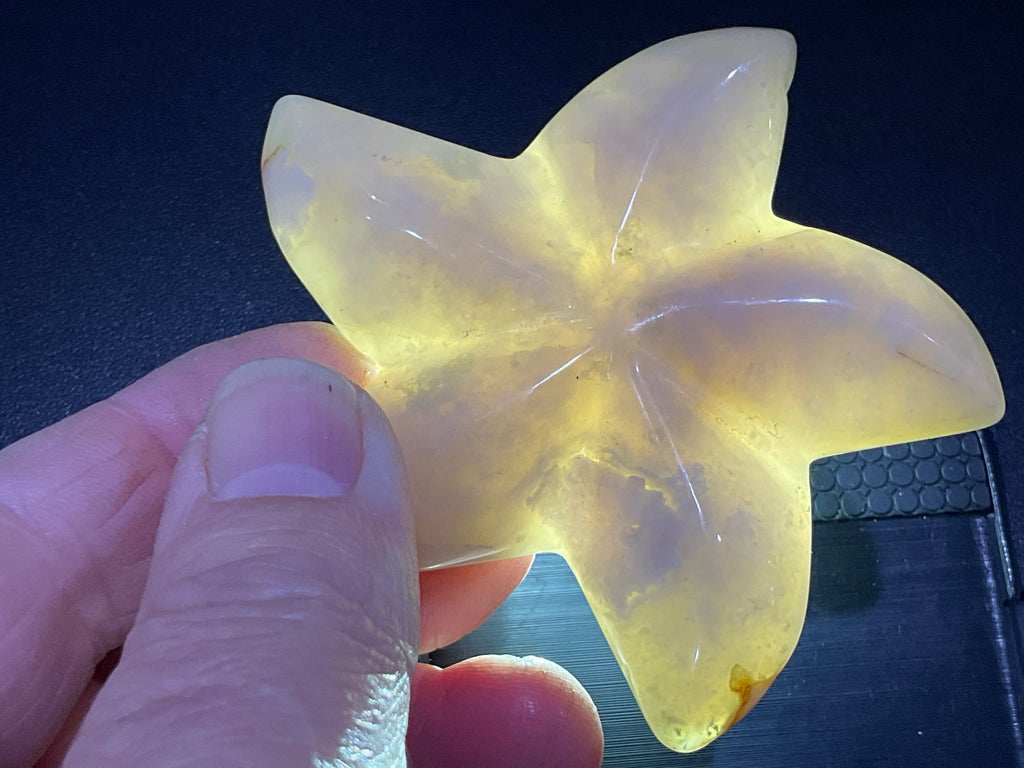 76g Flower Agate Starfish Palmstone 2A