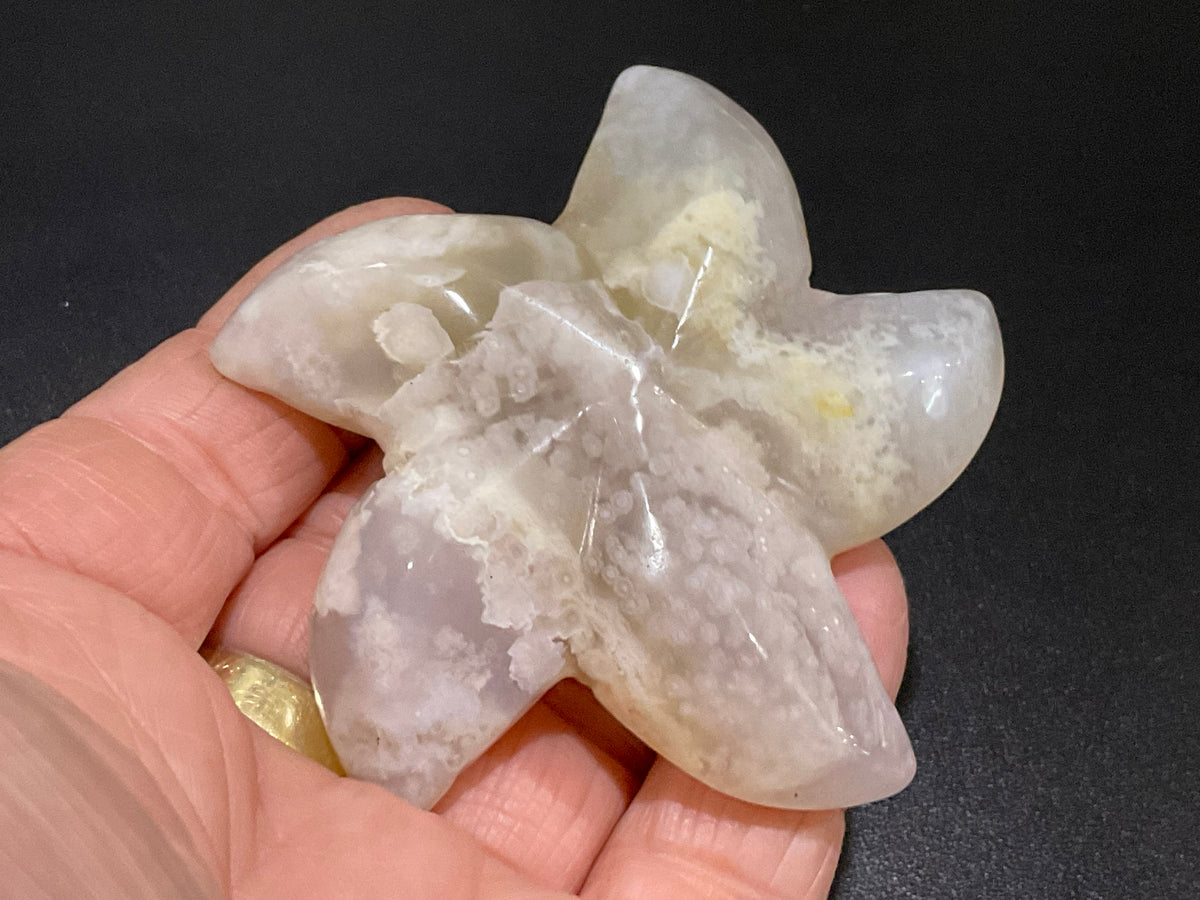 80g Flower Agate Starfish Palmstone 2B