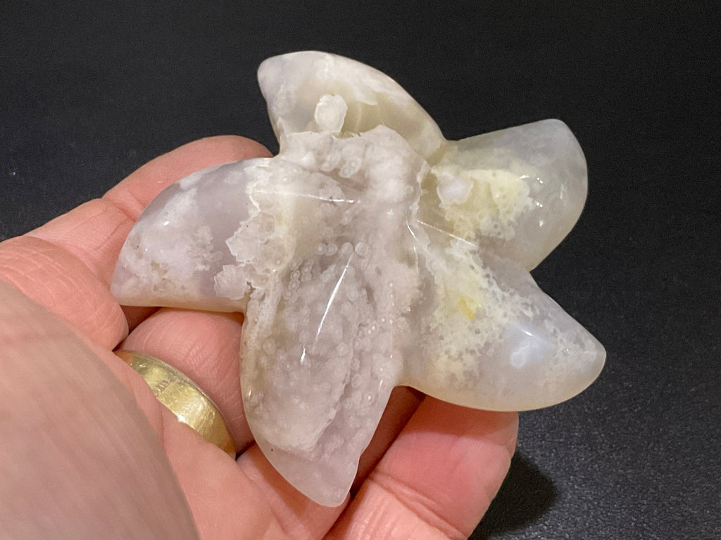80g Flower Agate Starfish Palmstone 2B
