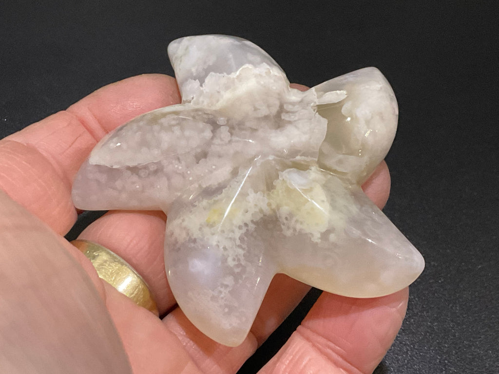 80g Flower Agate Starfish Palmstone 2B