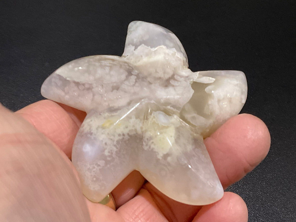80g Flower Agate Starfish Palmstone 2B