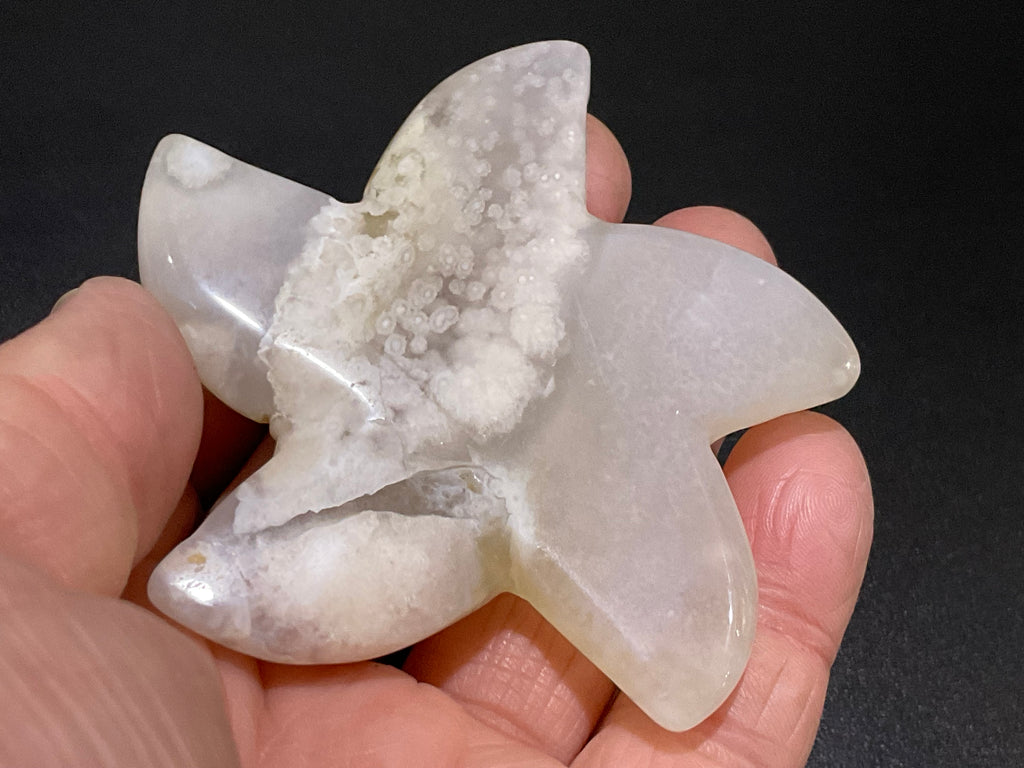 80g Flower Agate Starfish Palmstone 2B