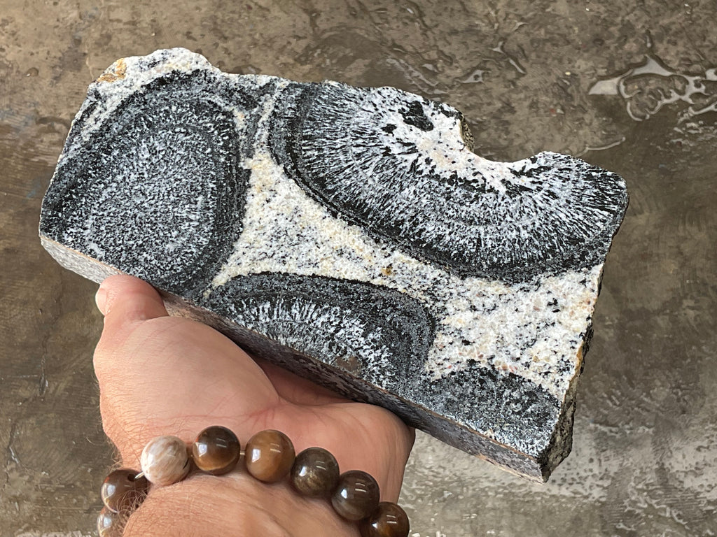 1362g Orbicular Granite Polished Slab A