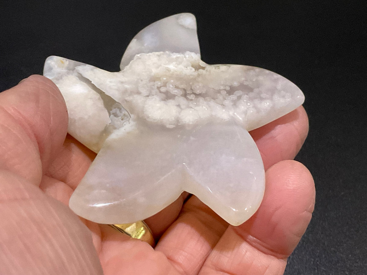 80g Flower Agate Starfish Palmstone 2B