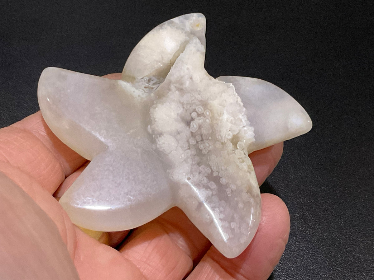 80g Flower Agate Starfish Palmstone 2B