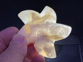 80g Flower Agate Starfish Palmstone 2B