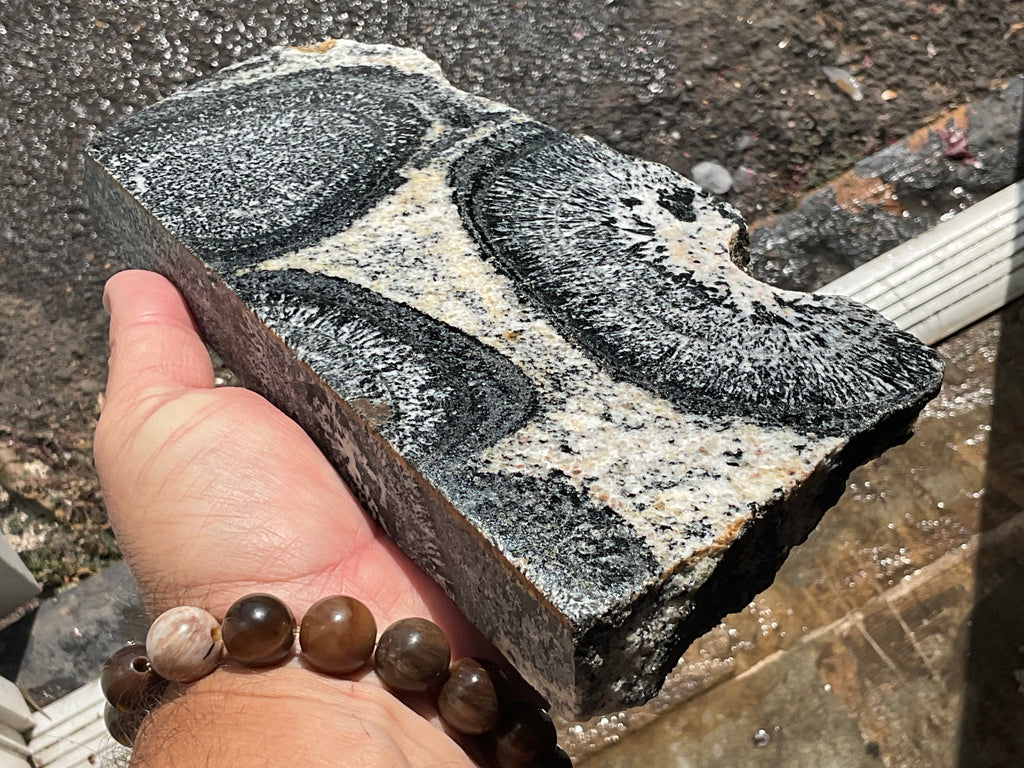 1362g Orbicular Granite Polished Slab A