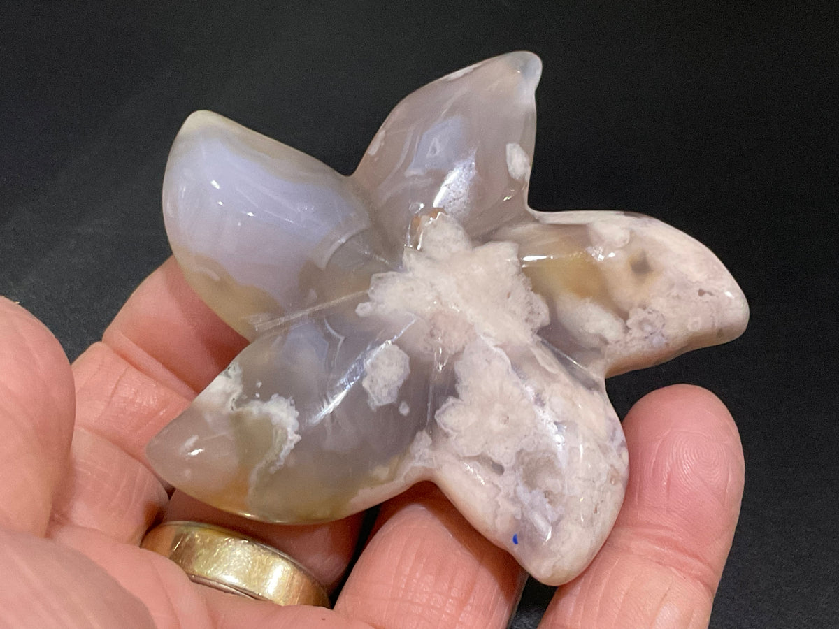 82g Flower Agate Starfish Palmstone 2C