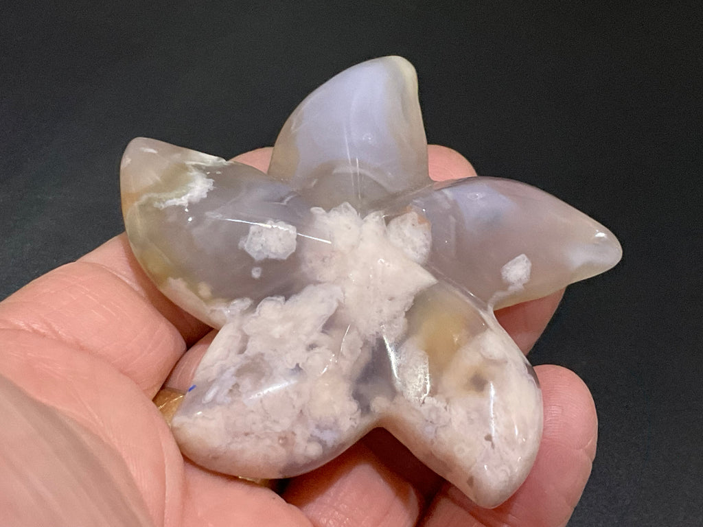 82g Flower Agate Starfish Palmstone 2C