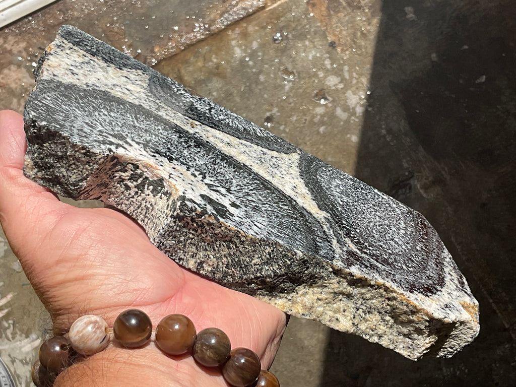 1362g Orbicular Granite Polished Slab A