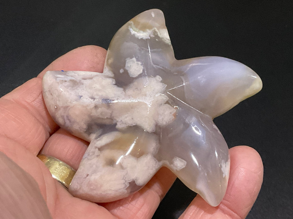 82g Flower Agate Starfish Palmstone 2C