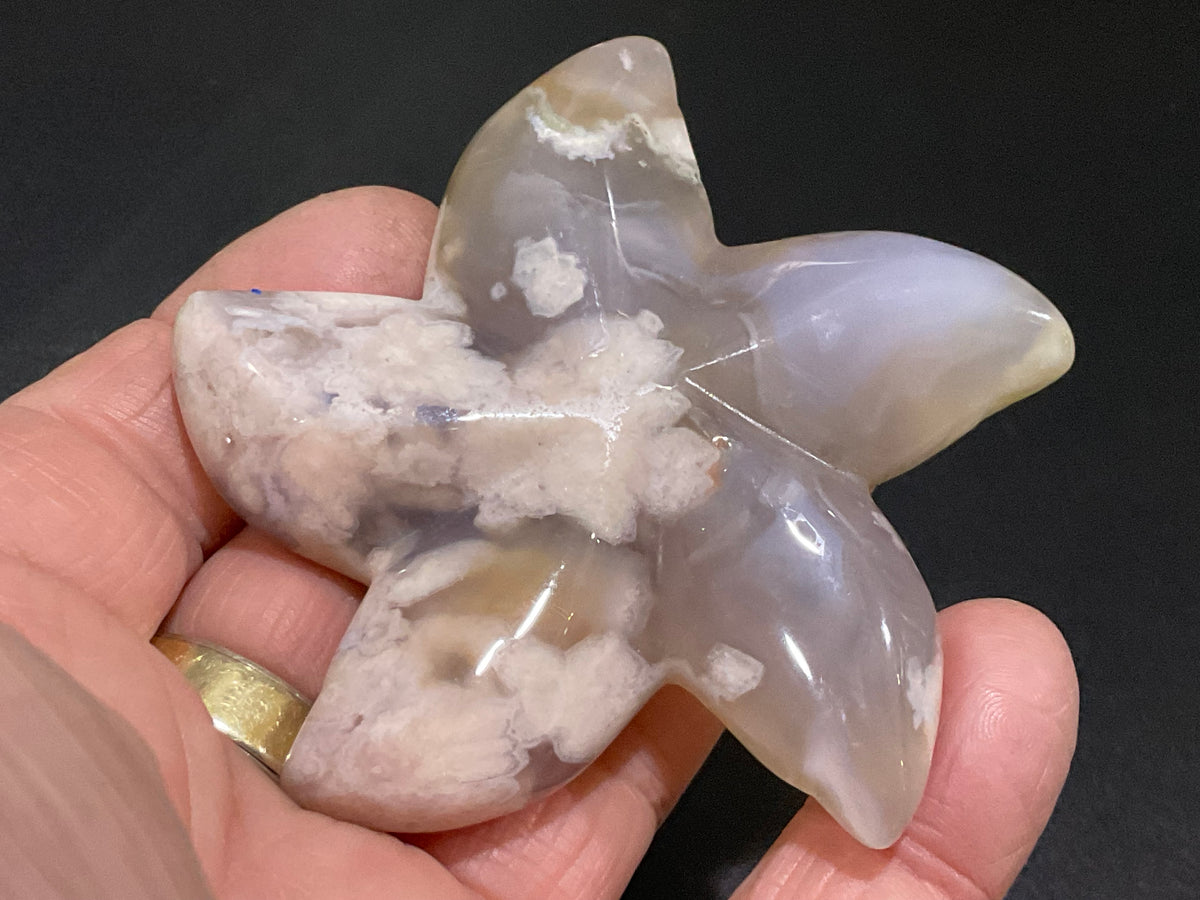 82g Flower Agate Starfish Palmstone 2C