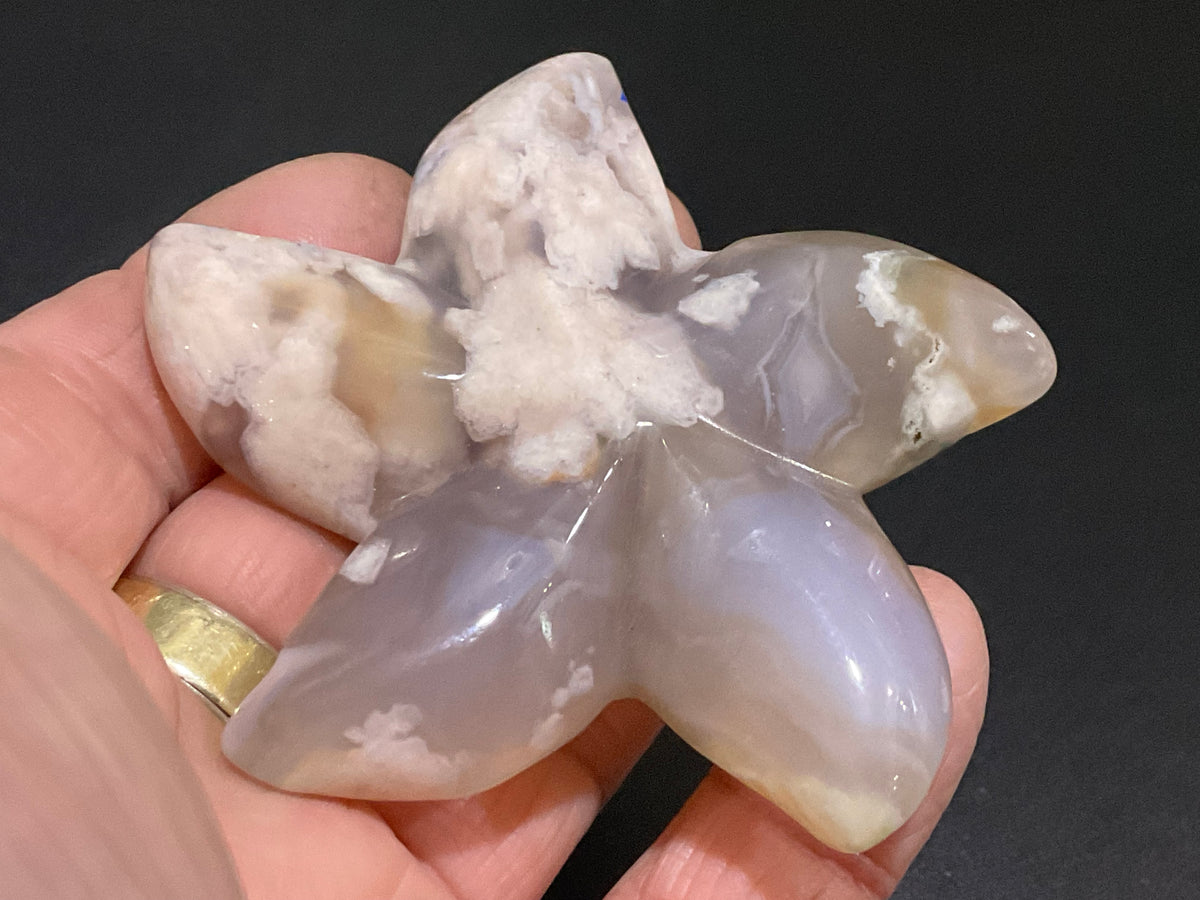 82g Flower Agate Starfish Palmstone 2C