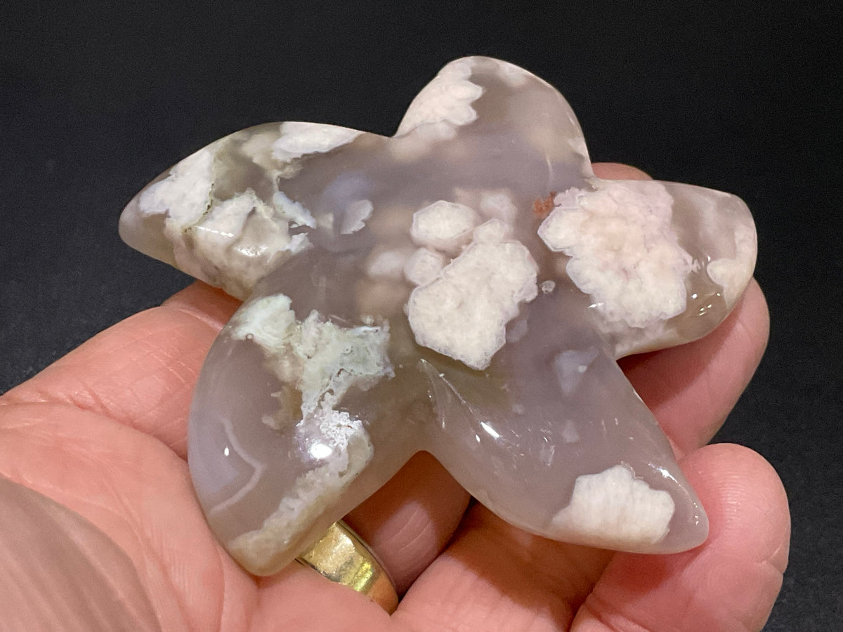 82g Flower Agate Starfish Palmstone 2C