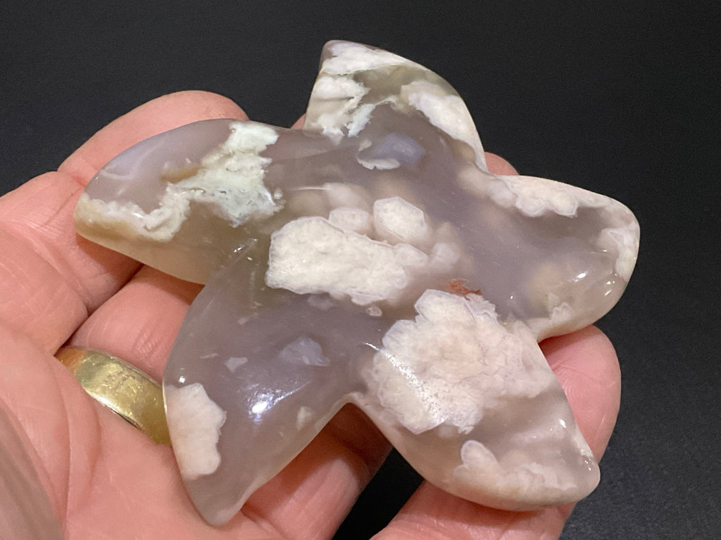 82g Flower Agate Starfish Palmstone 2C