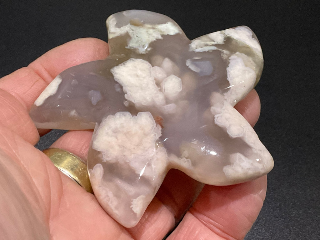 82g Flower Agate Starfish Palmstone 2C
