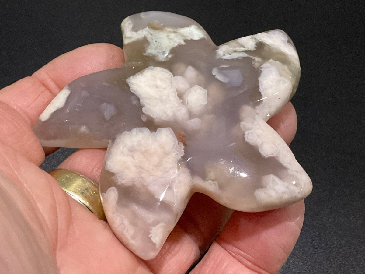 82g Flower Agate Starfish Palmstone 2C