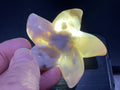 82g Flower Agate Starfish Palmstone 2C