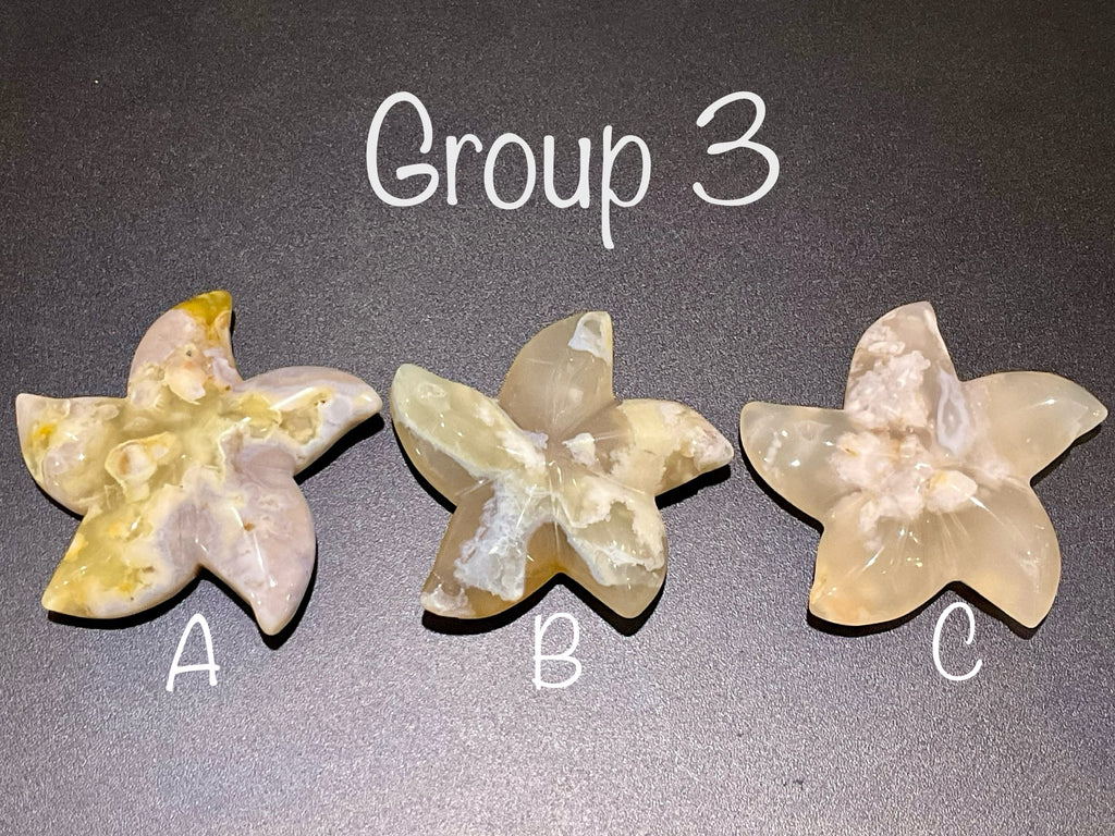 84g Flower Agate Starfish Palmstone 3C